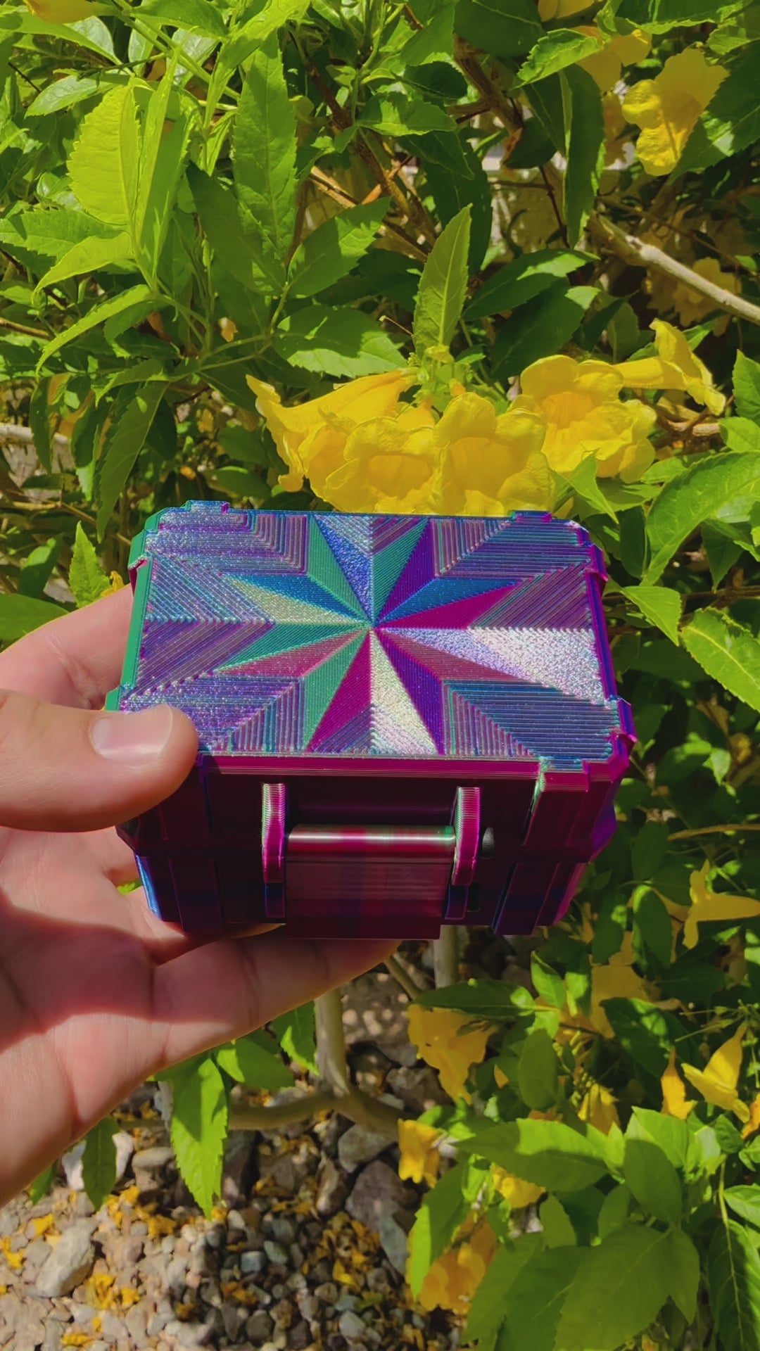 6-Slot 10 ml Vial Case | Medium Organizer | Organizer for GLP-1, Peptides, Research